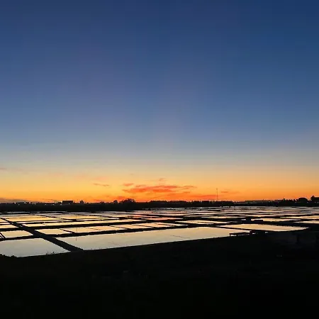 Sunny Center 阿威罗
